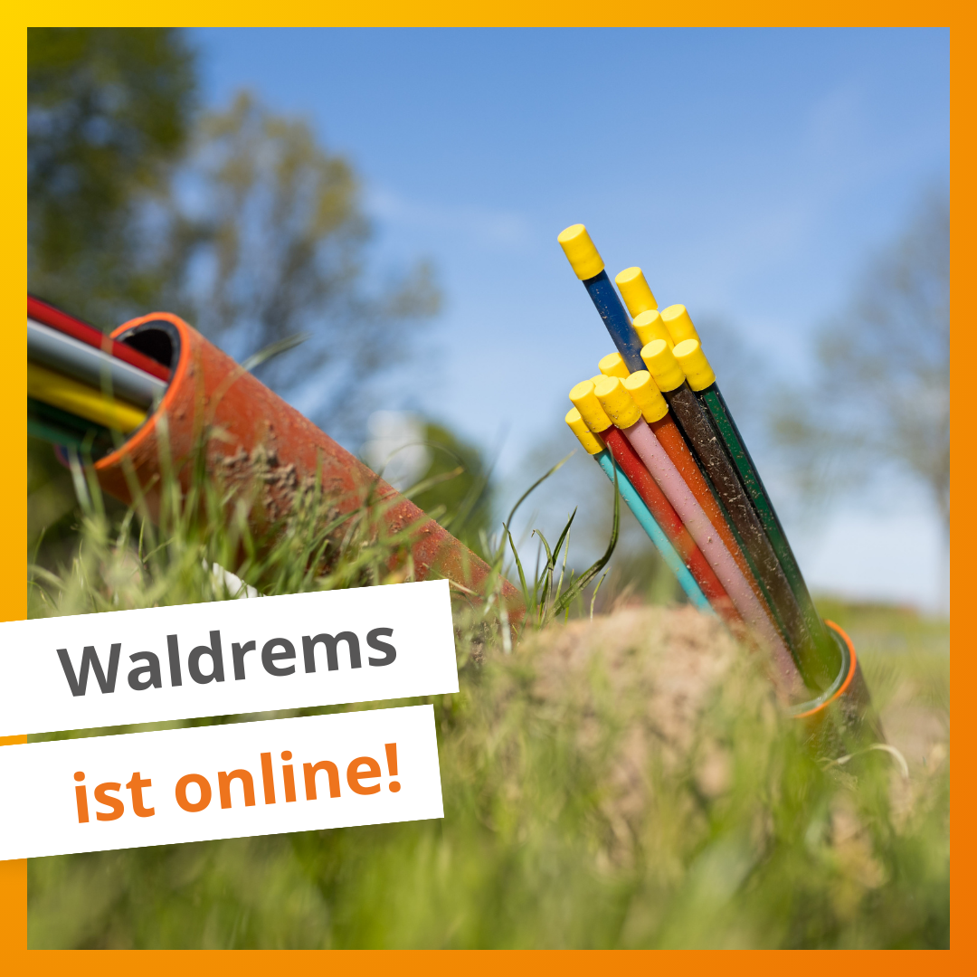 Waldrems surft mit lichtschnellem Internet!